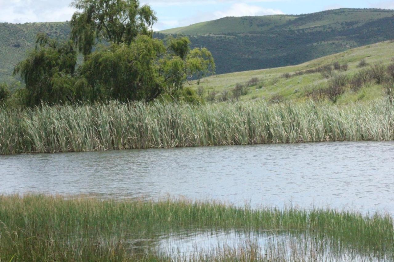 Wetlands Game Lodge Wakkerstroom Exterior foto
